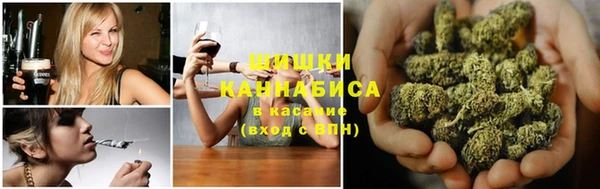 бошки Алексин