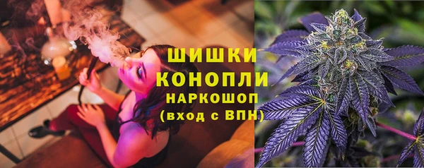 бошки Алексин