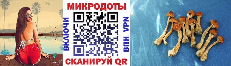 даркнет сайт  Саров  Псилоцибиновые грибы Magic Shrooms 