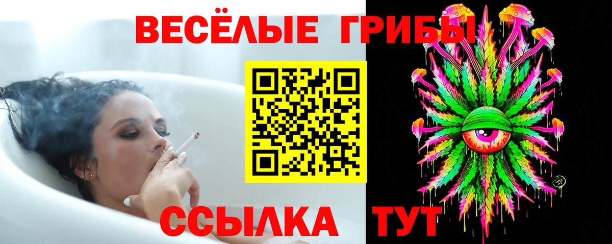 Саров  Псилоцибиновые грибы Magic Shrooms  Вход с VPN 