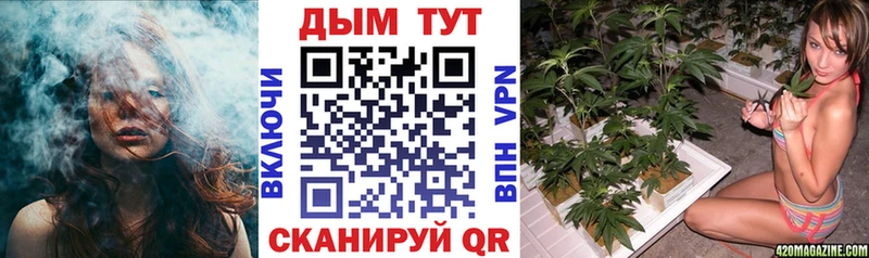 Каннабис OG Kush  Саров 